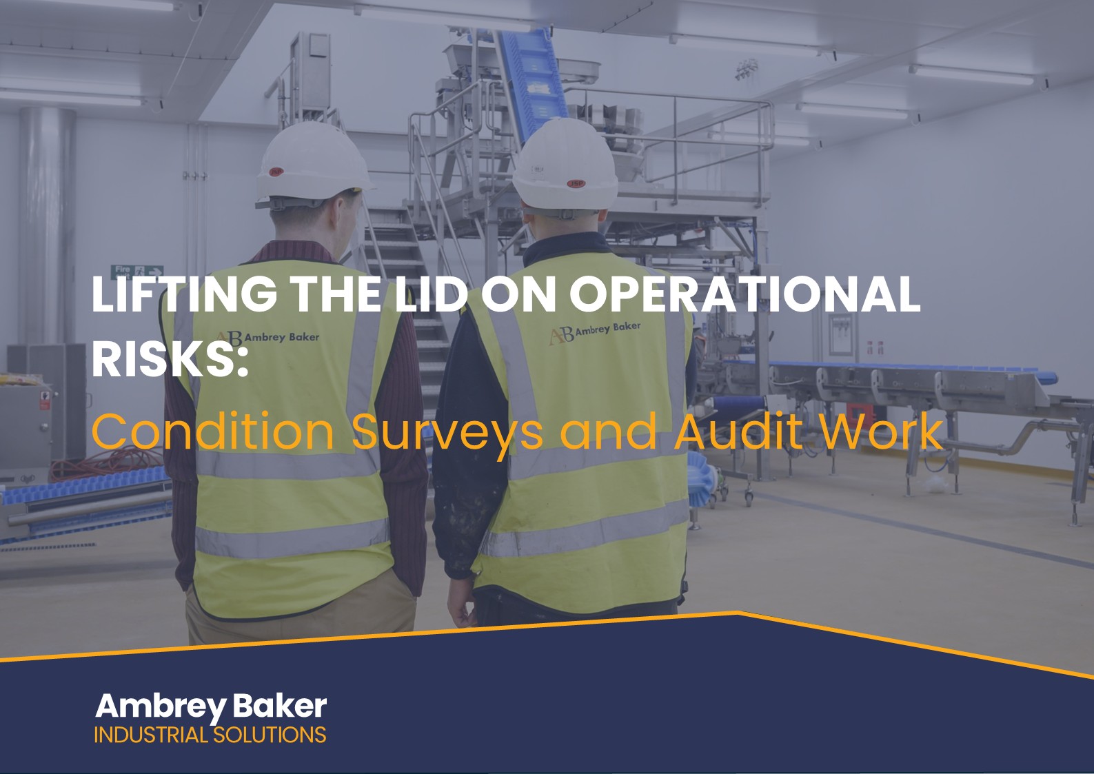 Lifting the Lid on Operational Risks: Condition Surveys and Audit Work